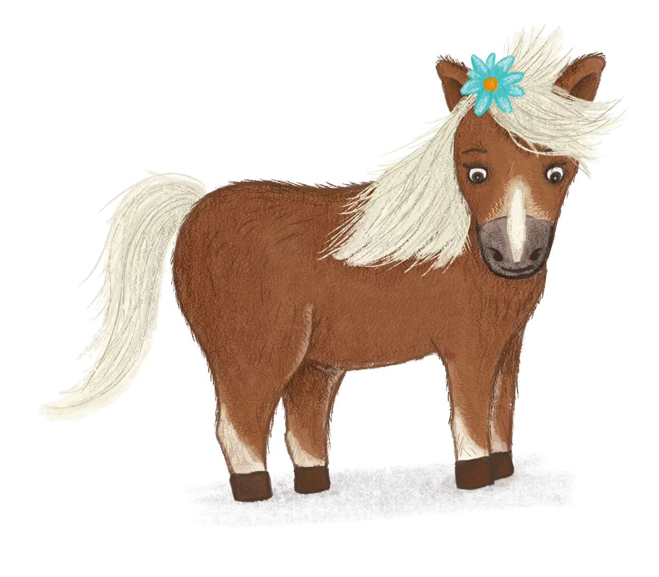 Het Team Brie begeleiding van kinderen met ontwikkelingsproblemen met paarden en pony's