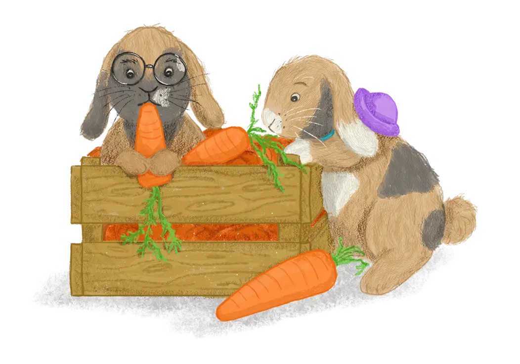 Het Team Konijnen Buitencentrum Maar Natuurlijk! Begeleiding van Kinderen