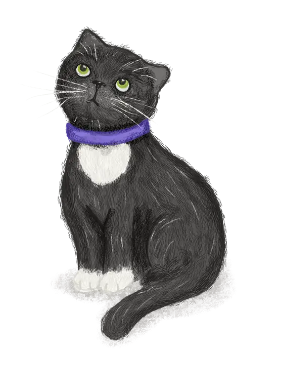 Het Team Lodewijk de Kat Buitencentrum Maar Natuurlijk!