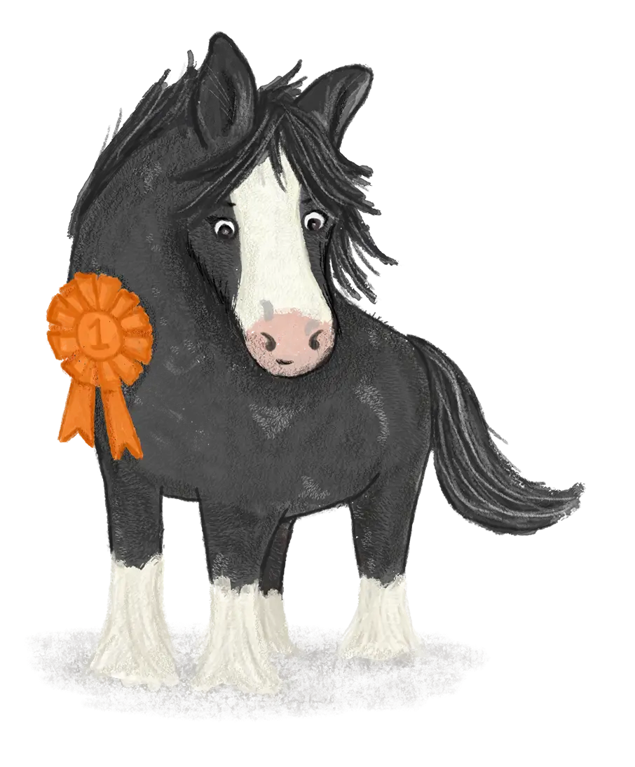 Het Team Nessa begeleiding van kinderen met ontwikkelingsproblemen met paarden en pony's