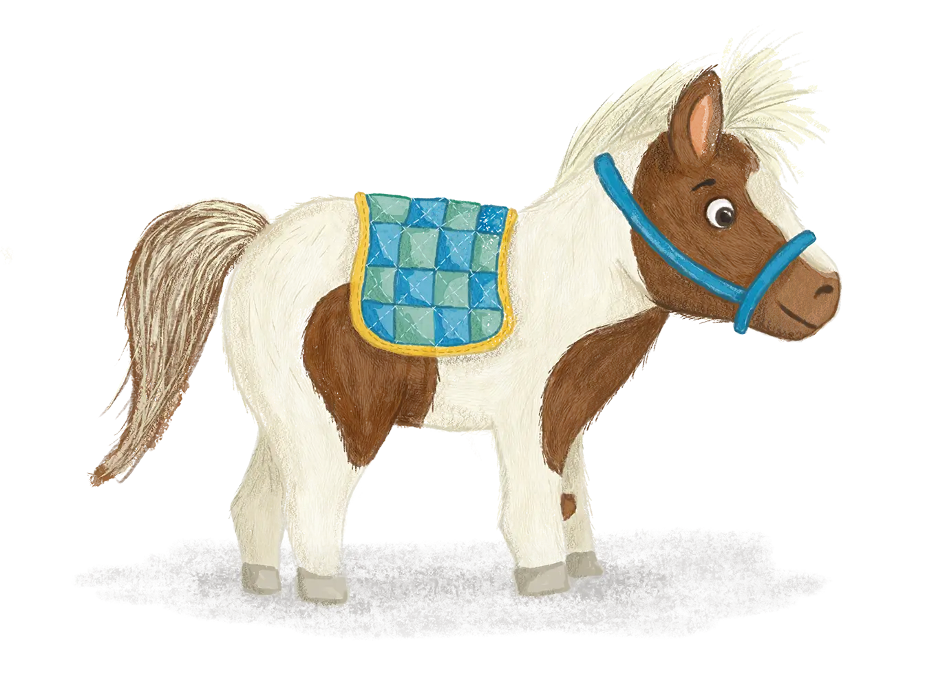 Het Team Smitty begeleiding van kinderen met ontwikkelingsproblemen met paarden en pony's