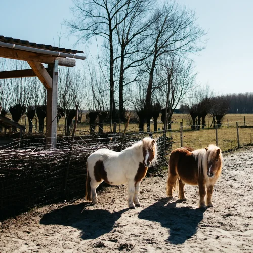 Neem contact op met Buitencentrum Maar Natuurlijk!