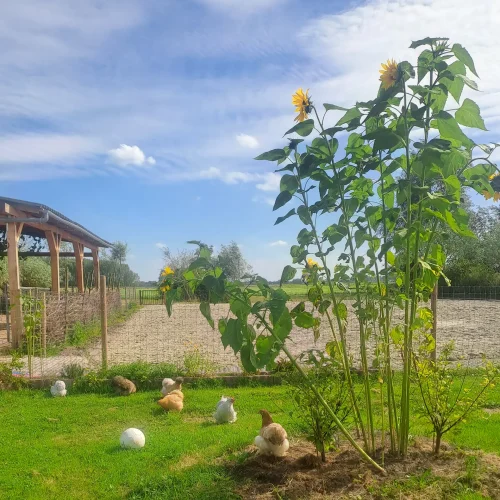 Locatie Buitencentrum Maar Natuurlijk!
