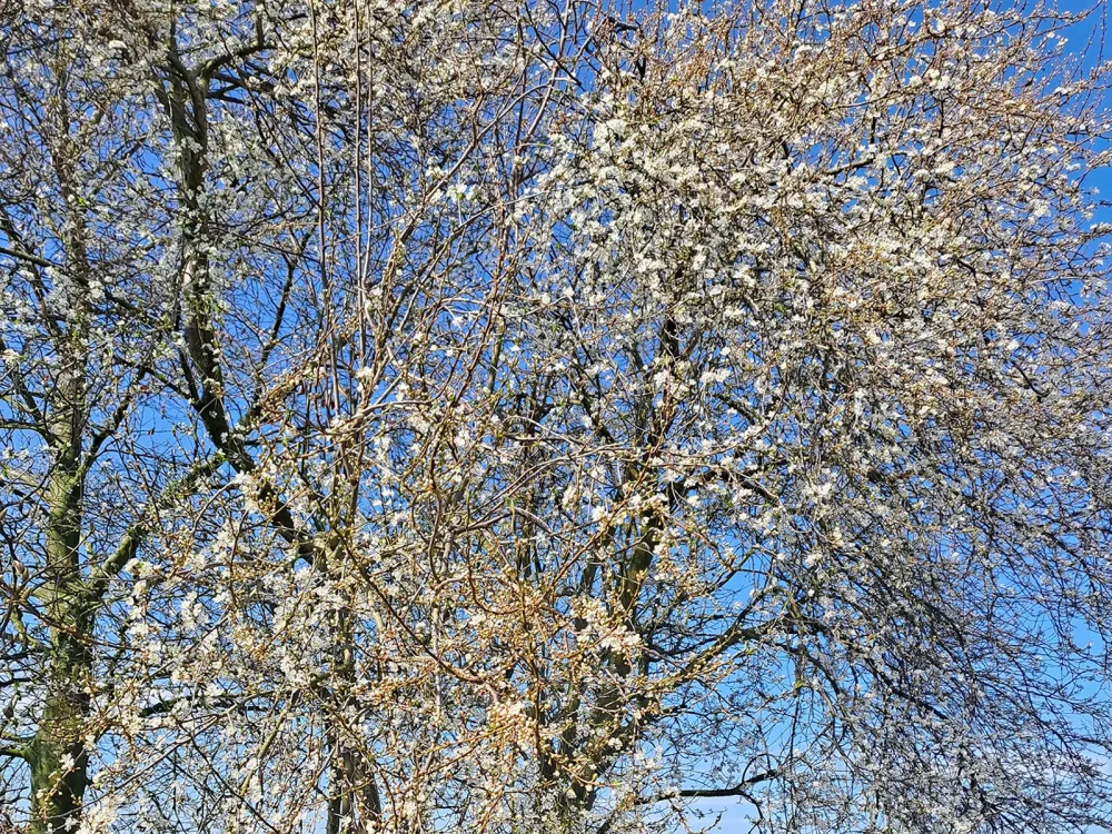 Ons zorgaanbod Voor verwijzers