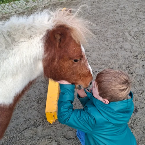 Zorgaanbod Buitencentrum Maar Natuurlijk!