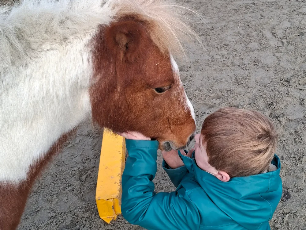 Zorgaanbod Buitencentrum Maar Natuurlijk!